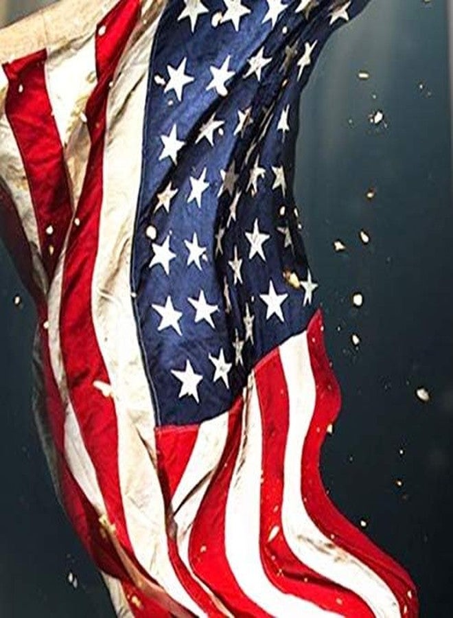 Three Rooker Patriotic Ties Mens US Flag Necktie Eagle and Flag Tie - Image 3